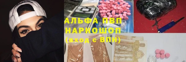 a pvp Аркадак