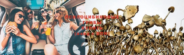 а пвп мука Арсеньев